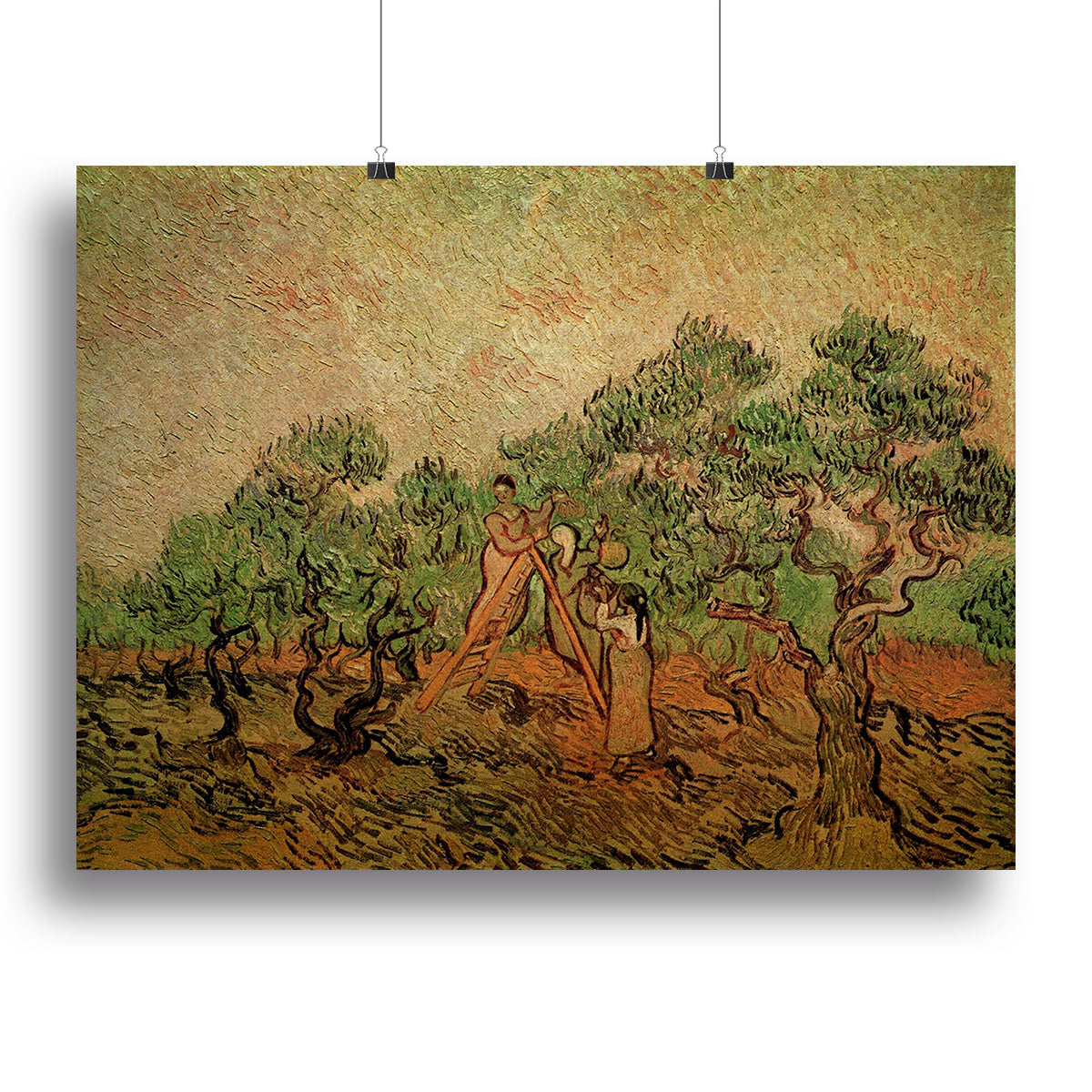 Olive Picking by Van Gogh Canvas Print or Poster - Canvas Art Rocks - 2