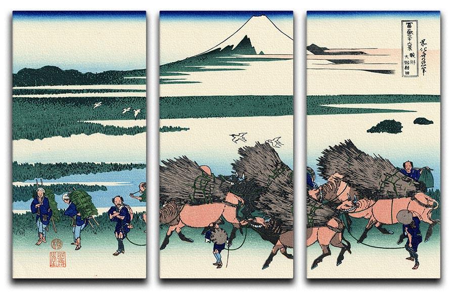 Ono Shindon in the Suraga province by Hokusai 3 Split Panel Canvas Print - Canvas Art Rocks - 1