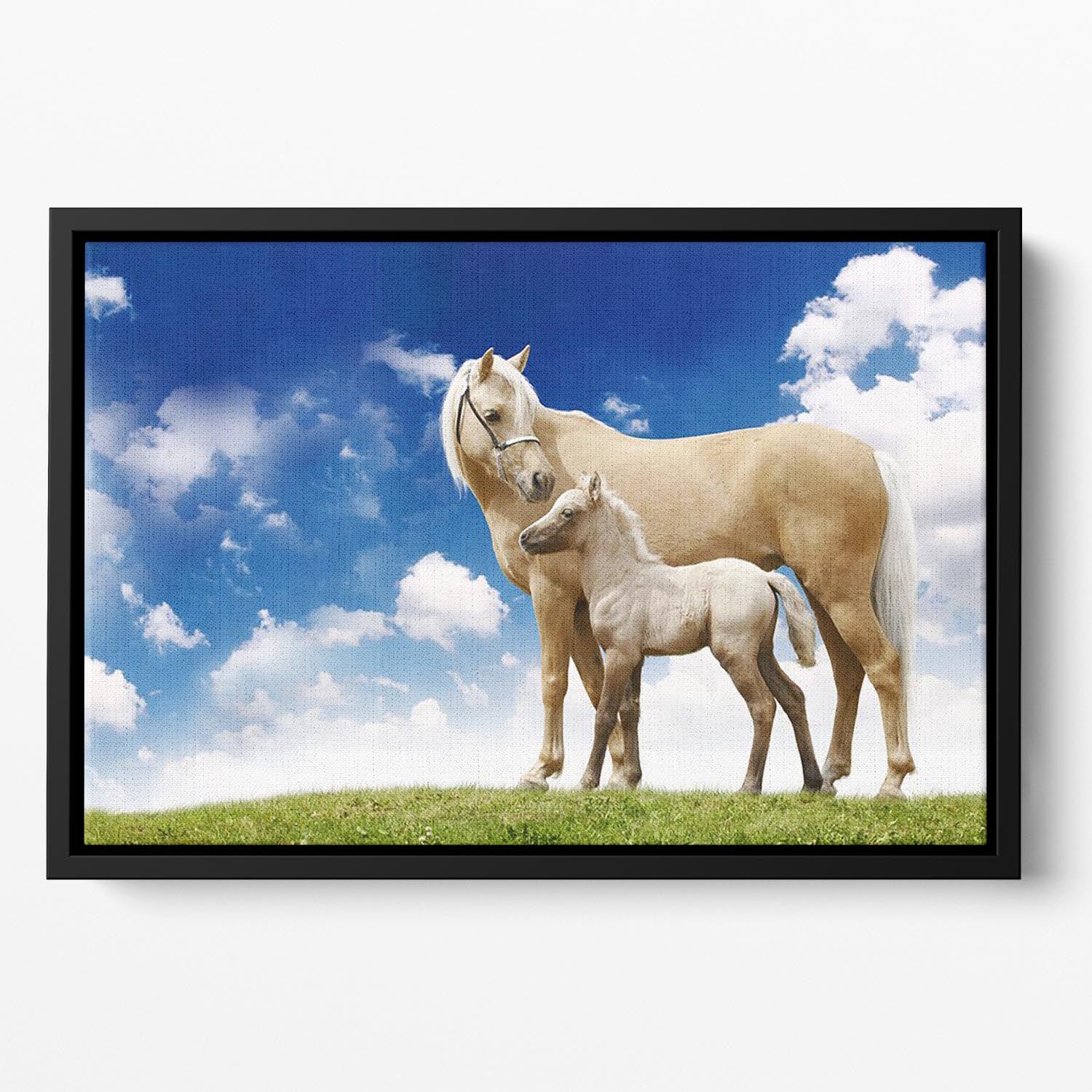 Palomino horses on grey gradient Floating Framed Canvas - Canvas Art Rocks - 2