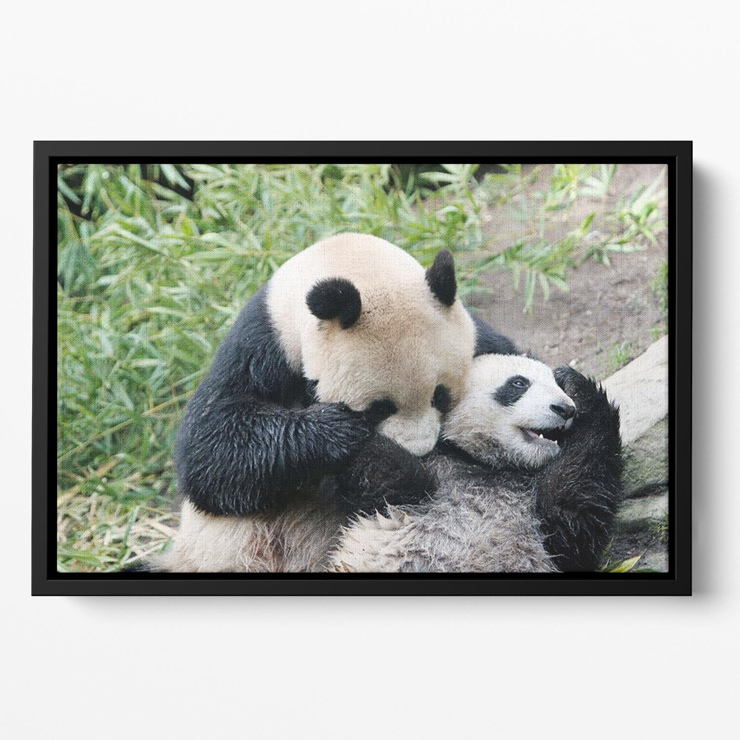 Panda bear and her cub Floating Framed Canvas - Canvas Art Rocks - 2