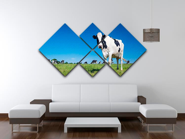 Panoramic view of black and white cow 4 Square Multi Panel Canvas - Canvas Art Rocks - 3