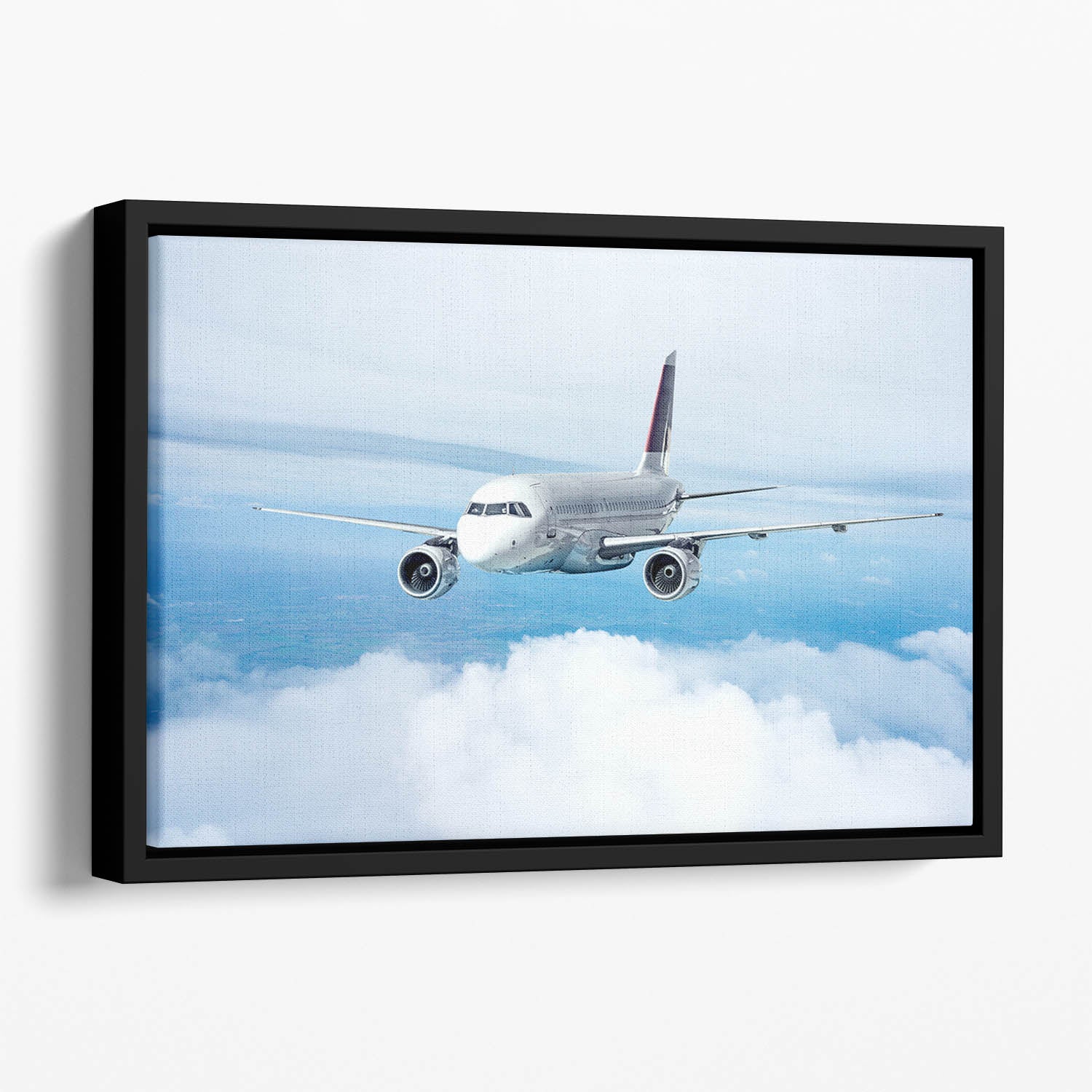 Passenger Airliner Floating Framed Canvas