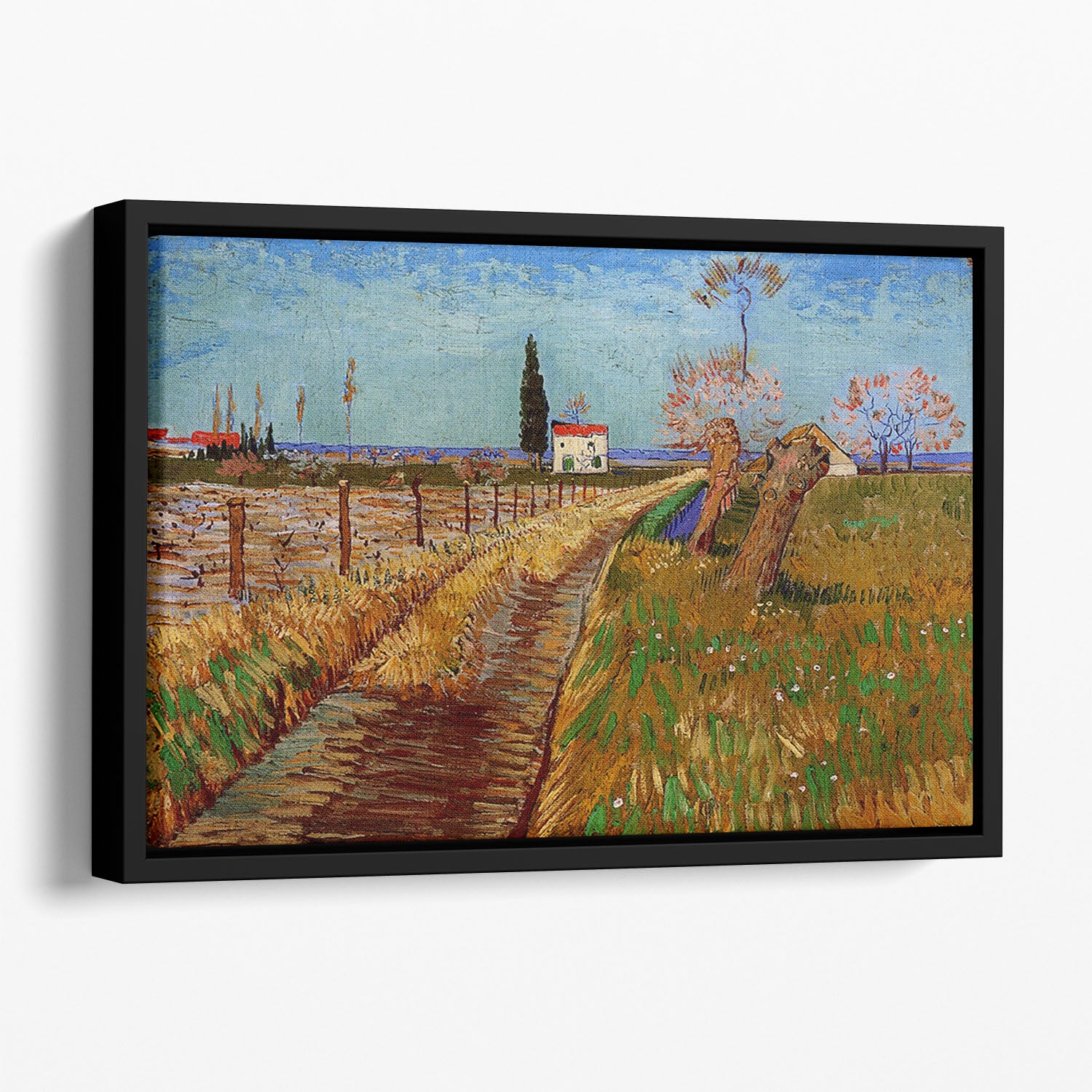 Path Through a Field with Willows by Van Gogh Floating Framed Canvas