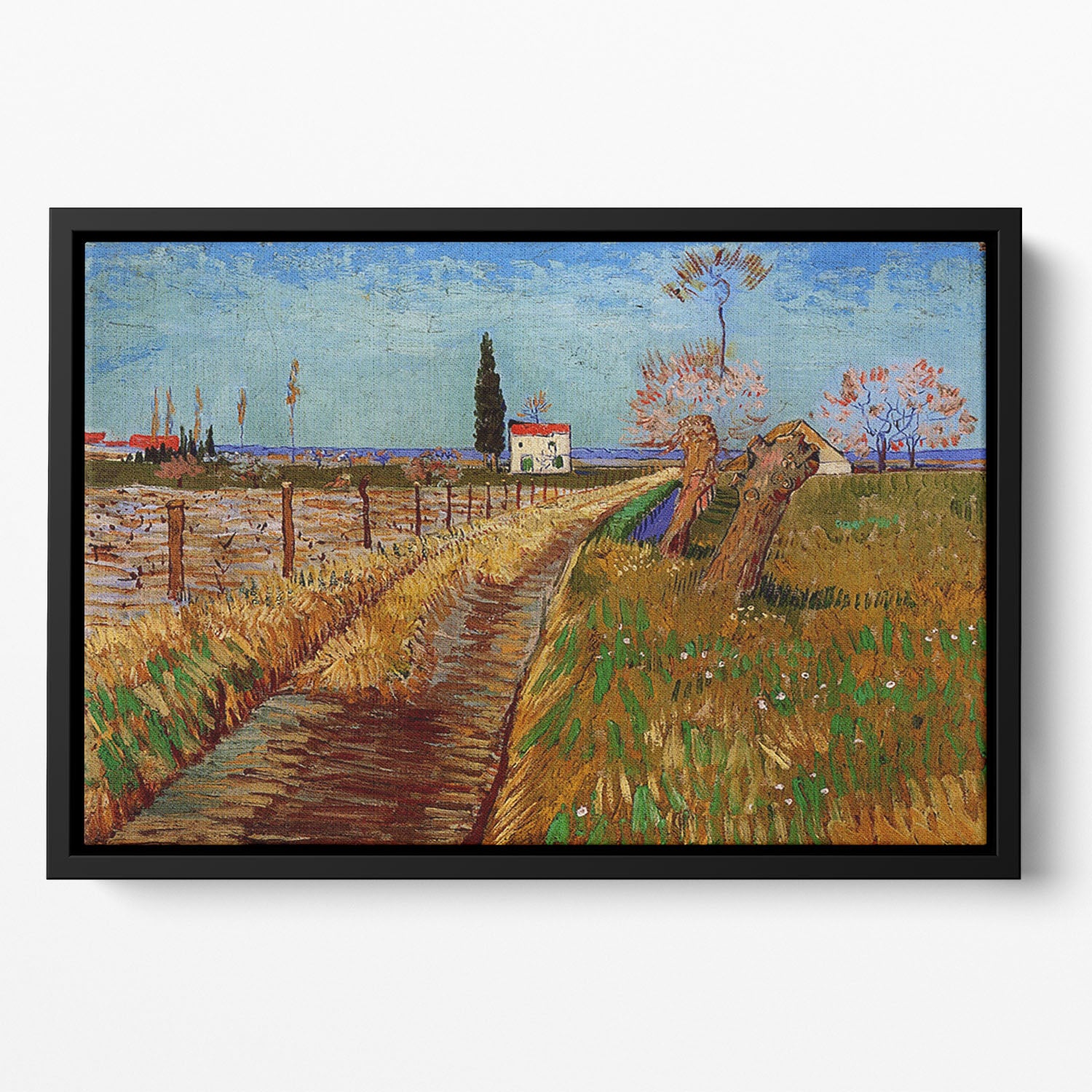 Path Through a Field with Willows by Van Gogh Floating Framed Canvas