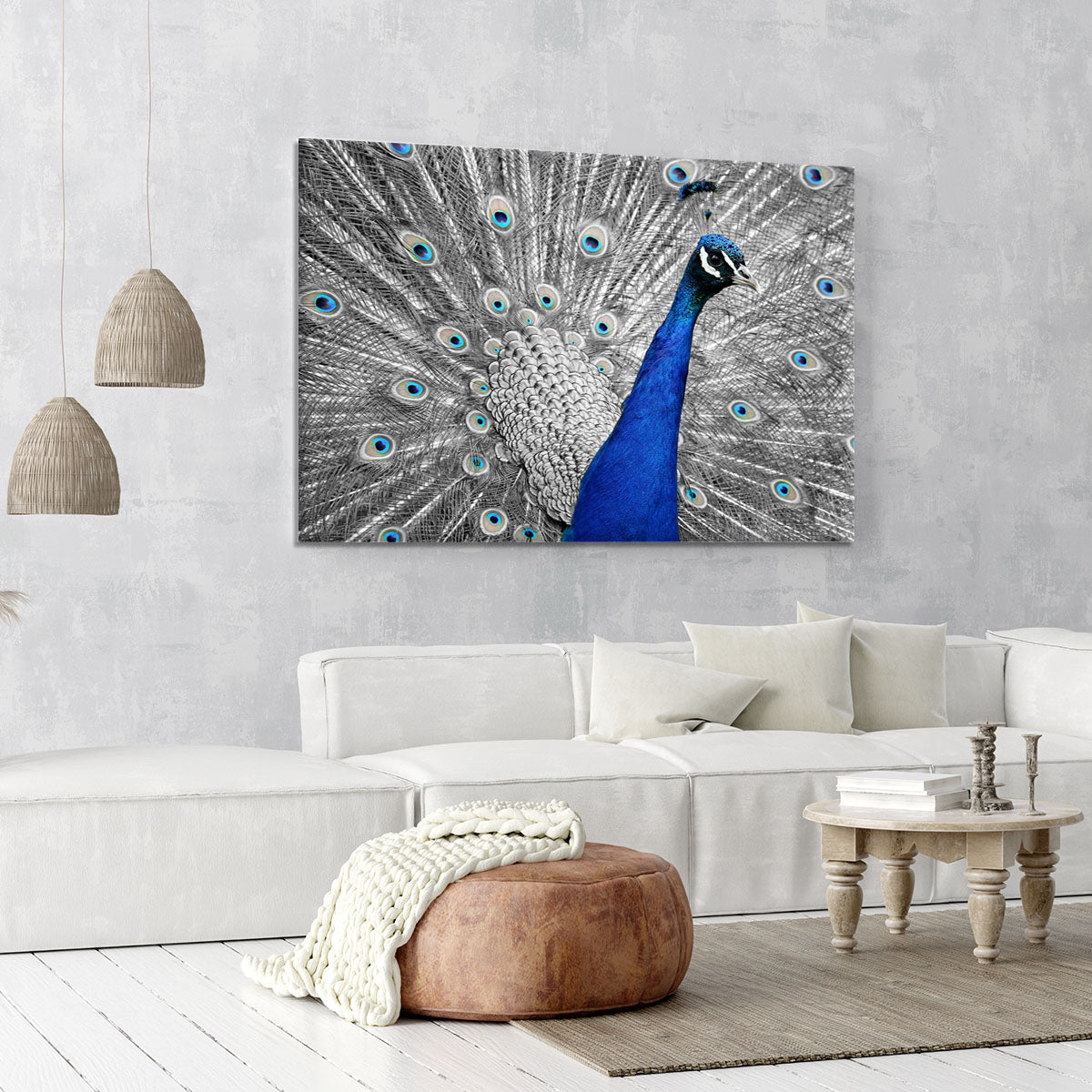 Peacock Canvas Print or Poster - Canvas Art Rocks - 6