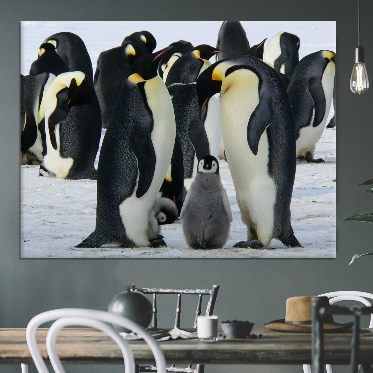 Penguins Canvas Print or Poster - Canvas Art Rocks - 3