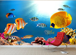 Photo of a coral colony Wall Mural Wallpaper - Canvas Art Rocks - 3