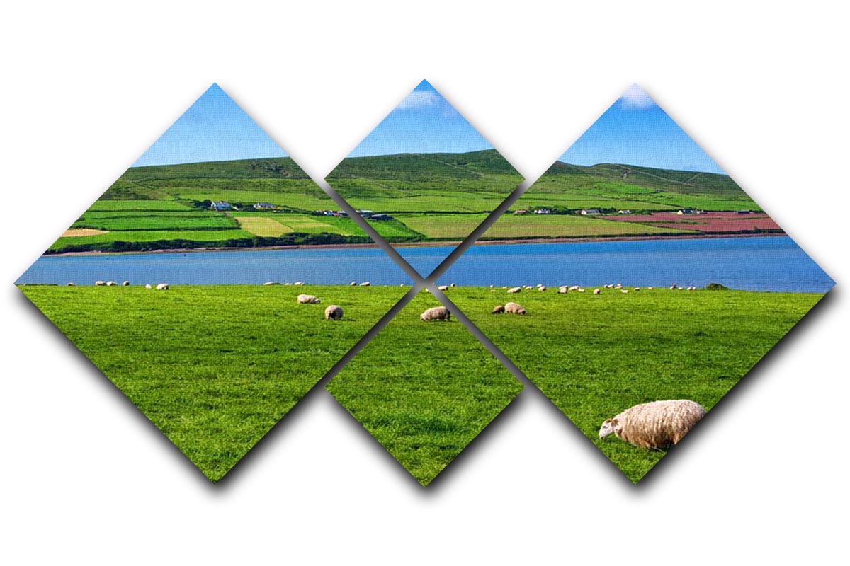 Photo sheep in rural landscape for farming 4 Square Multi Panel Canvas - Canvas Art Rocks - 1