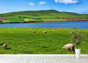 Photo sheep in rural landscape for farming Wall Mural Wallpaper - Canvas Art Rocks - 4