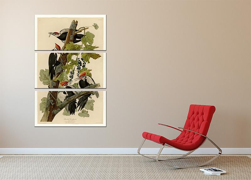 Pileated Woodpecker by Audubon 3 Split Panel Canvas Print - Canvas Art Rocks - 2