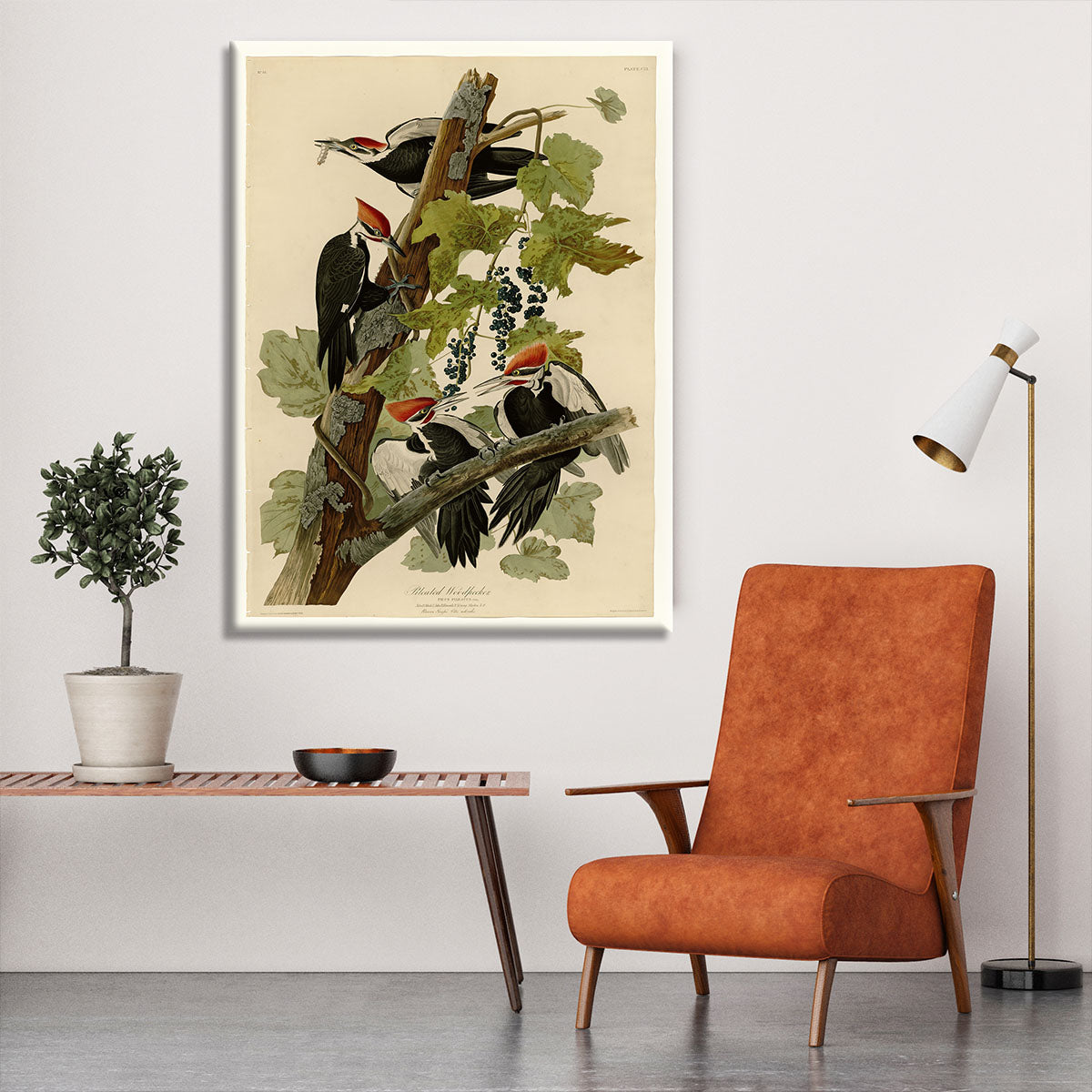 Pileated Woodpecker by Audubon Canvas Print or Poster - Canvas Art Rocks - 6