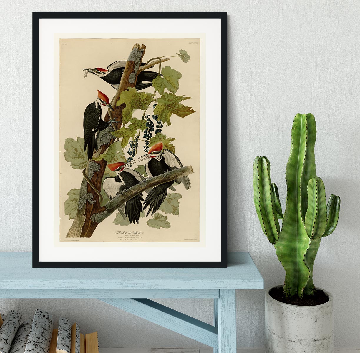 Pileated Woodpecker by Audubon Framed Print - Canvas Art Rocks - 1