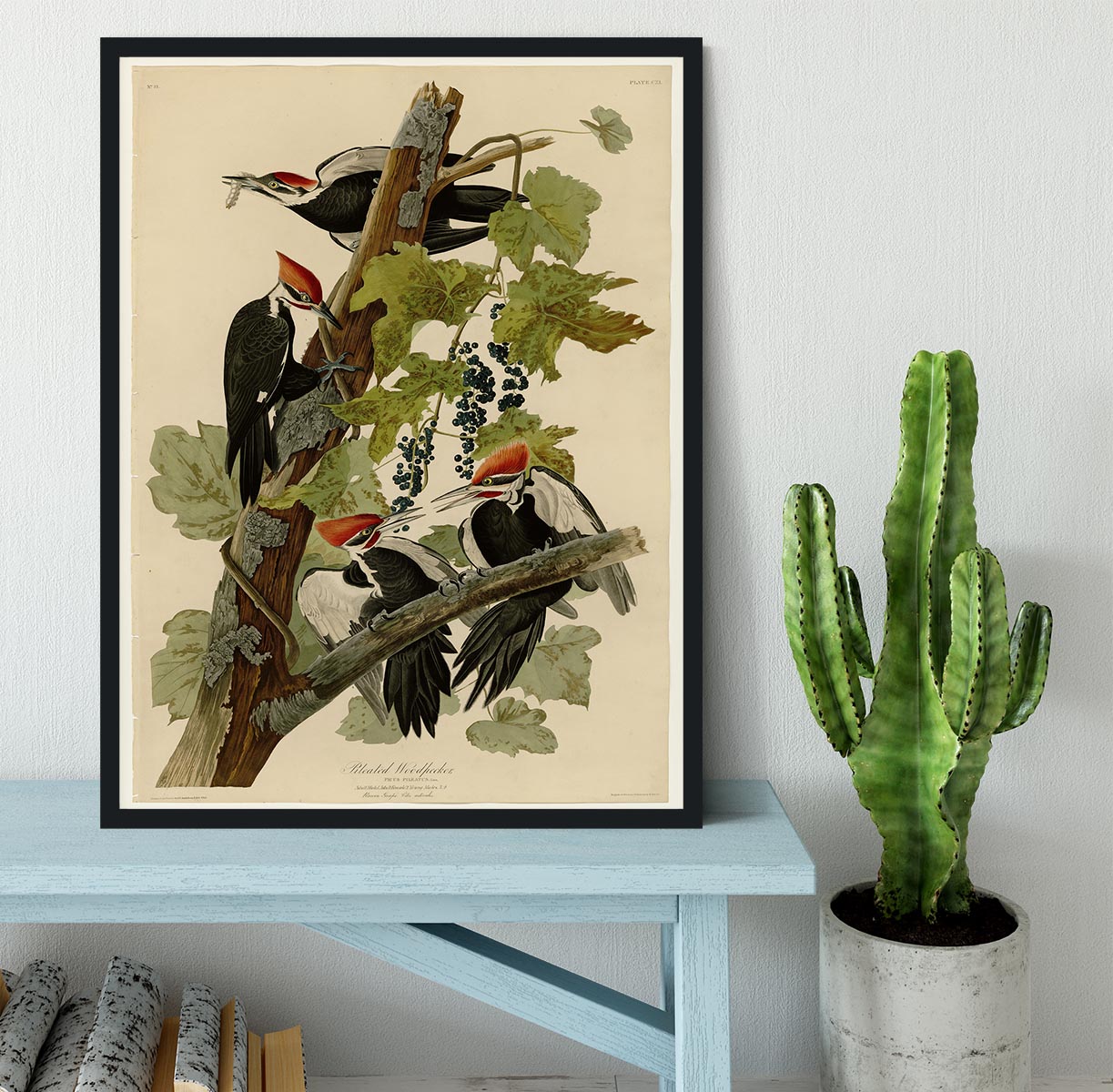 Pileated Woodpecker by Audubon Framed Print - Canvas Art Rocks - 2
