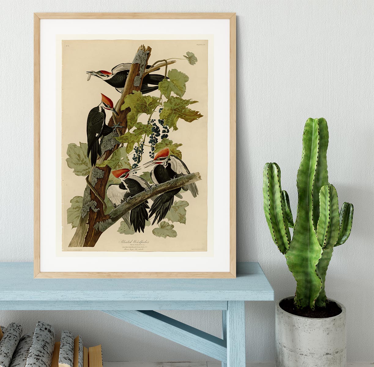 Pileated Woodpecker by Audubon Framed Print - Canvas Art Rocks - 3