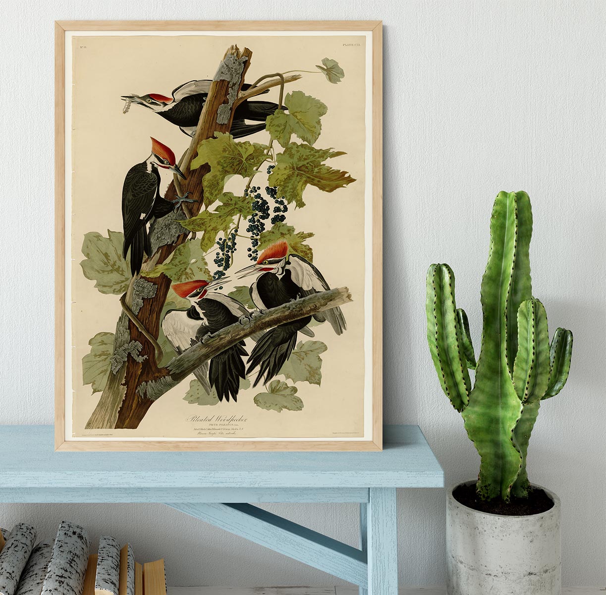 Pileated Woodpecker by Audubon Framed Print - Canvas Art Rocks - 4
