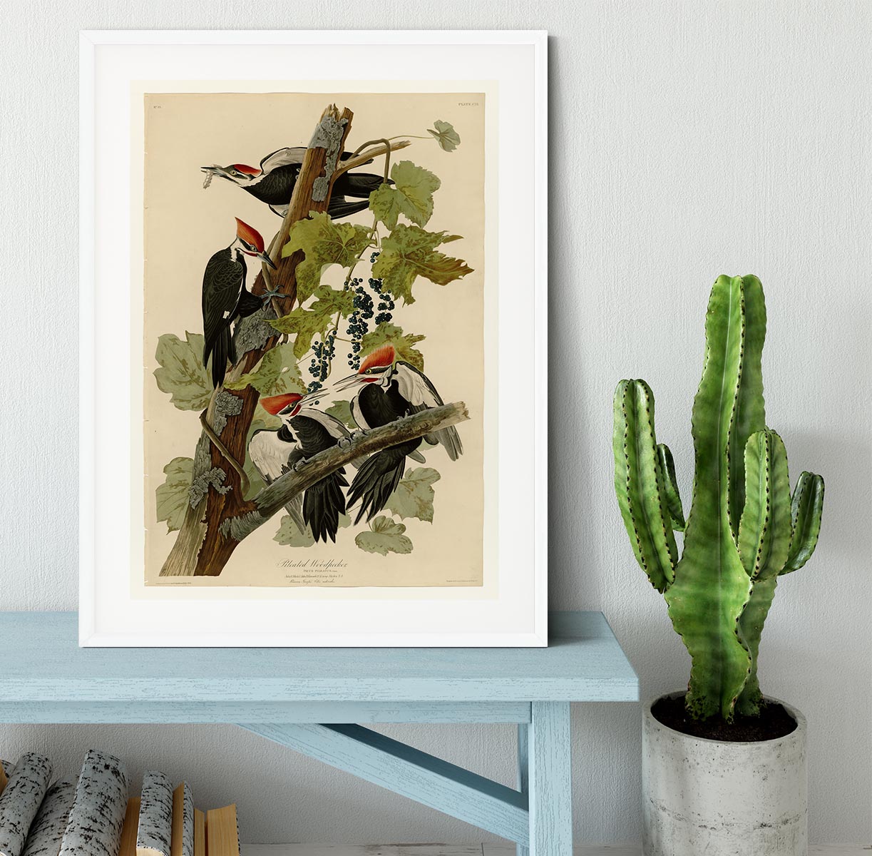 Pileated Woodpecker by Audubon Framed Print - Canvas Art Rocks - 5