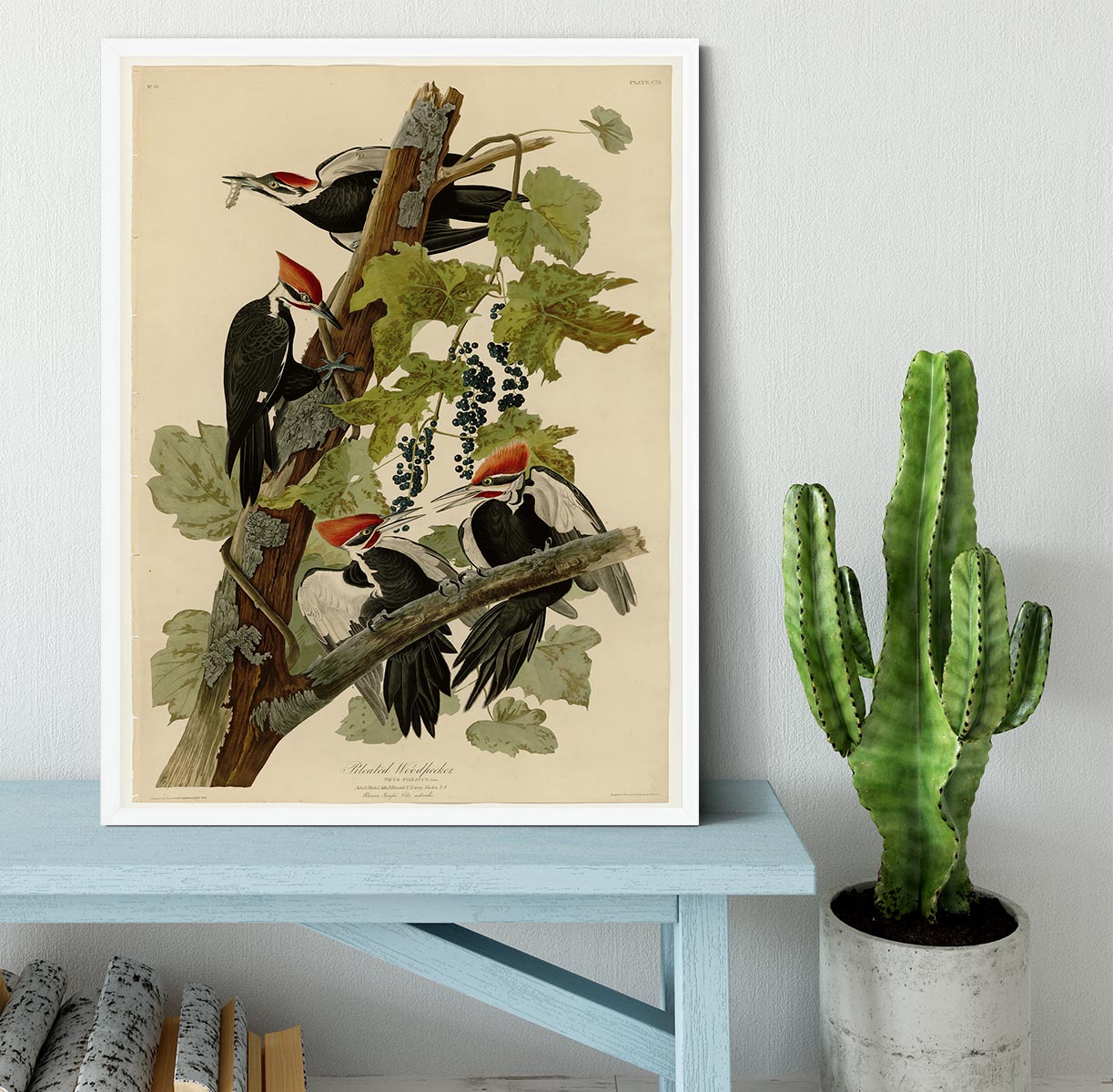 Pileated Woodpecker by Audubon Framed Print - Canvas Art Rocks -6