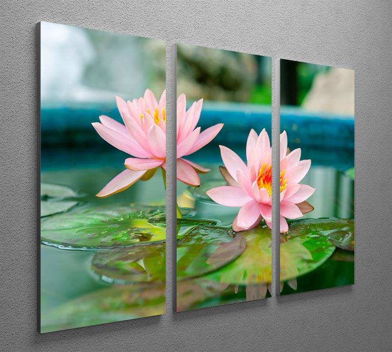 Pink Lotus or water lily in pond 3 Split Panel Canvas Print - Canvas Art Rocks - 2
