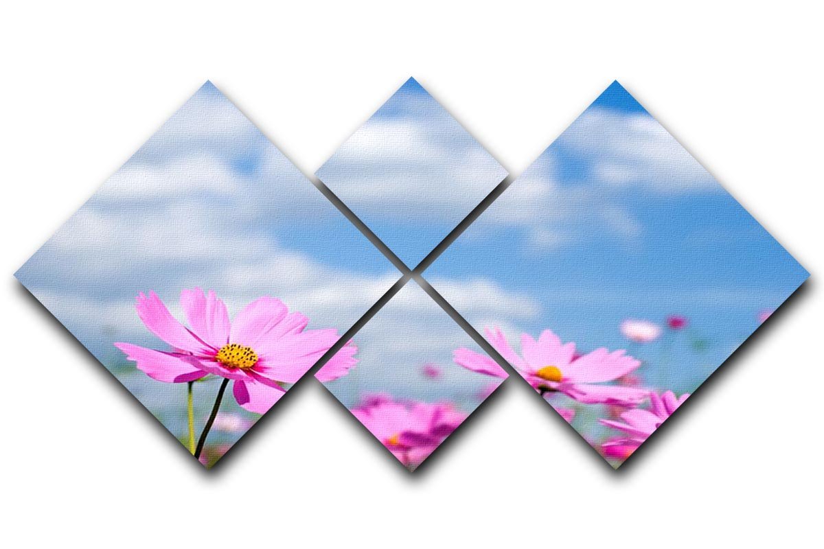 Pink cosmos field and sky 4 Square Multi Panel Canvas  - Canvas Art Rocks - 1