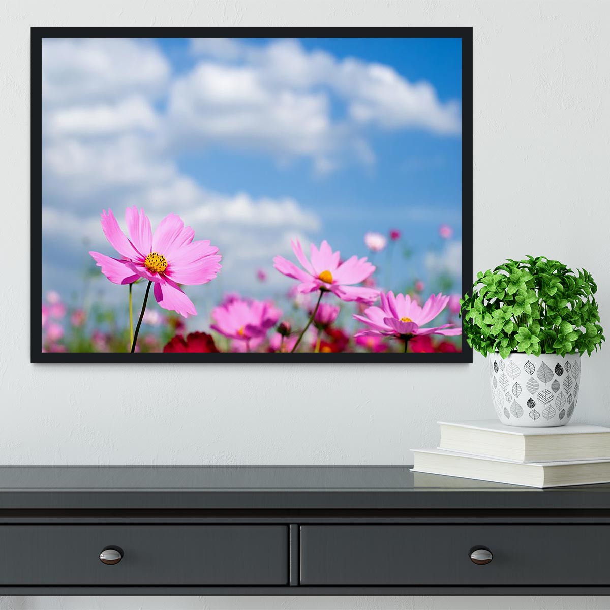 Pink cosmos field and sky Framed Print - Canvas Art Rocks - 2