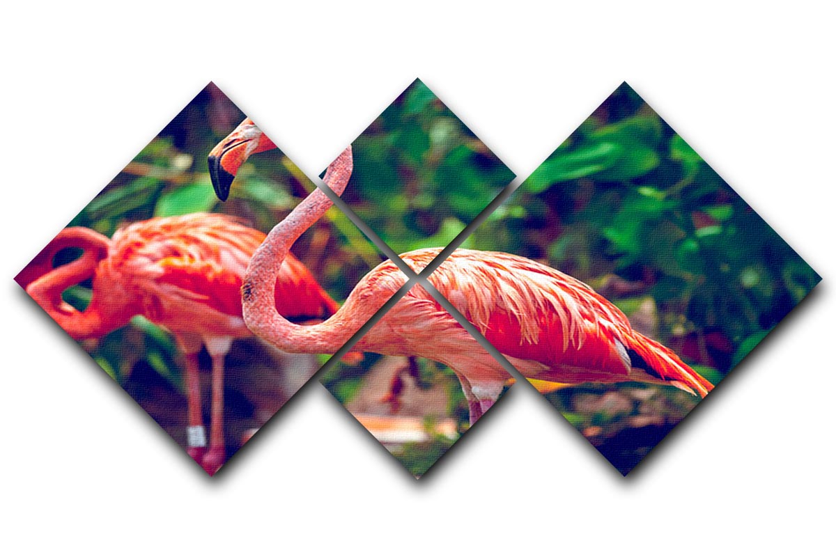Pink flamingo close-up in Singapore zoo 4 Square Multi Panel Canvas - Canvas Art Rocks - 1