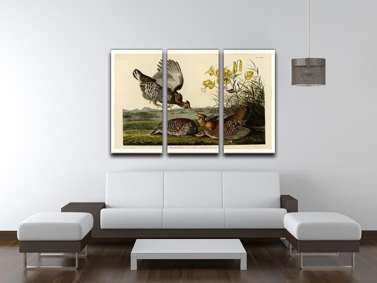 Pinnated Grouse by Audubon 3 Split Panel Canvas Print - Canvas Art Rocks - 3