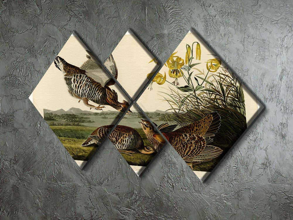 Pinnated Grouse by Audubon 4 Square Multi Panel Canvas - Canvas Art Rocks - 2