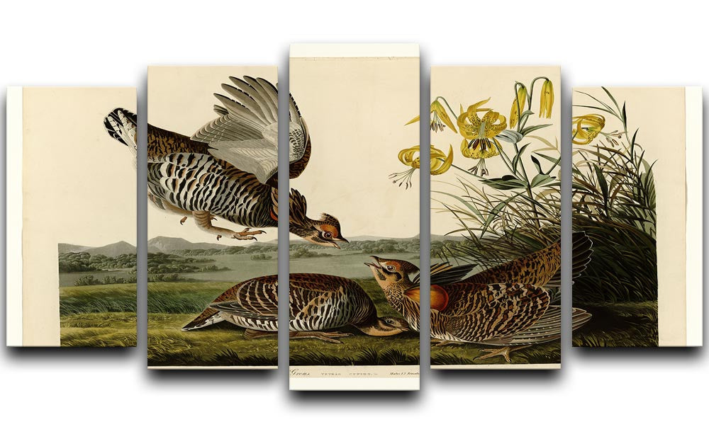 Pinnated Grouse by Audubon 5 Split Panel Canvas - Canvas Art Rocks - 1