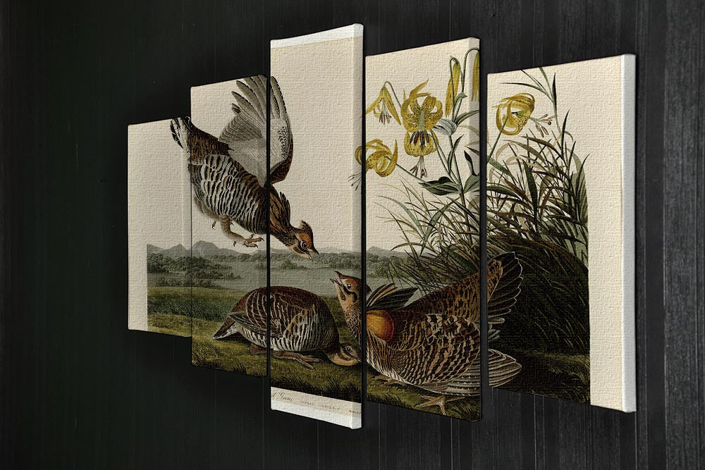 Pinnated Grouse by Audubon 5 Split Panel Canvas - Canvas Art Rocks - 2