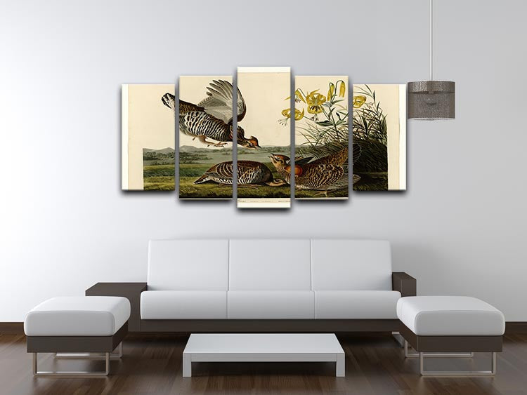 Pinnated Grouse by Audubon 5 Split Panel Canvas - Canvas Art Rocks - 3