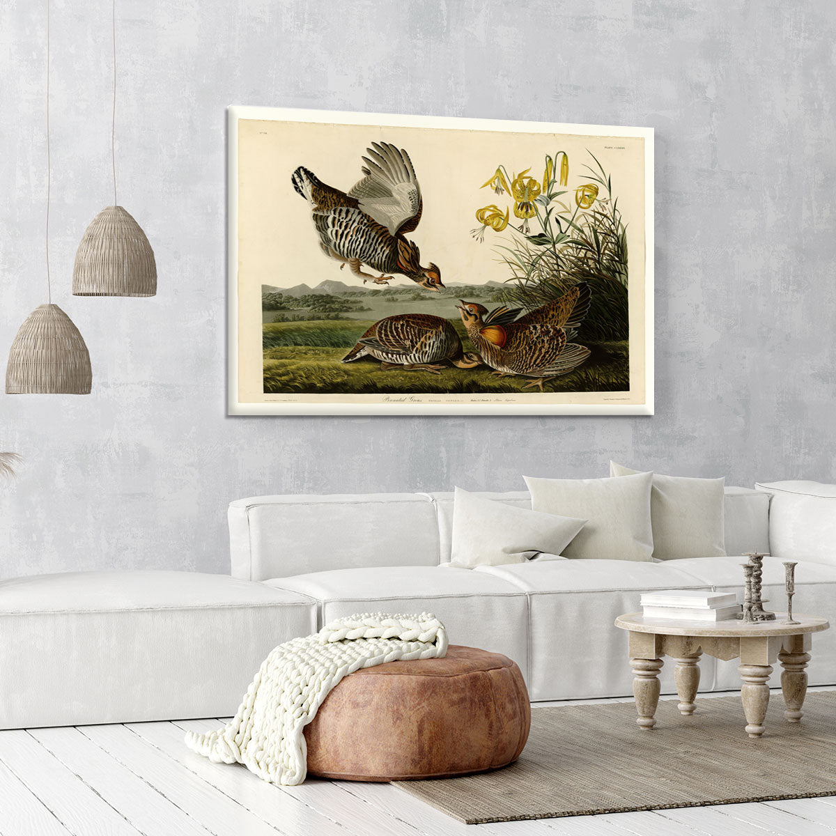 Pinnated Grouse by Audubon Canvas Print or Poster - Canvas Art Rocks - 6