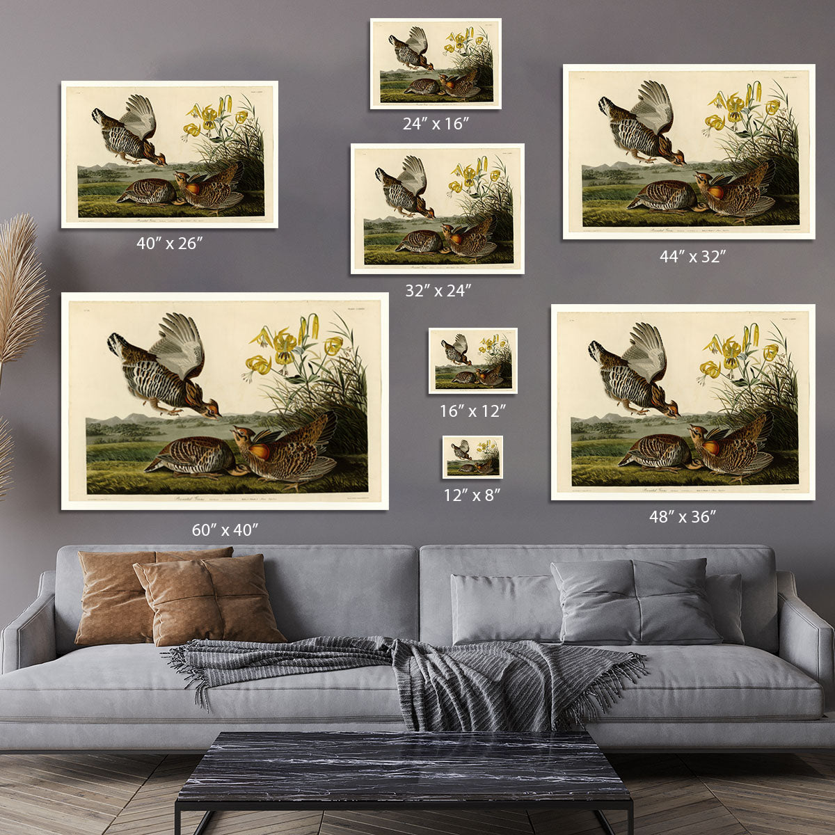 Pinnated Grouse by Audubon Canvas Print or Poster - Canvas Art Rocks - 7