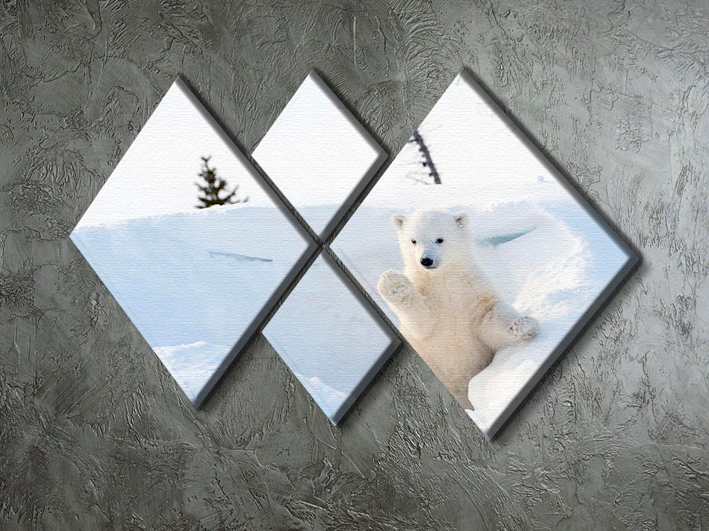 Polar bear Ursus maritimus cub coming out den 4 Square Multi Panel Canvas - Canvas Art Rocks - 2