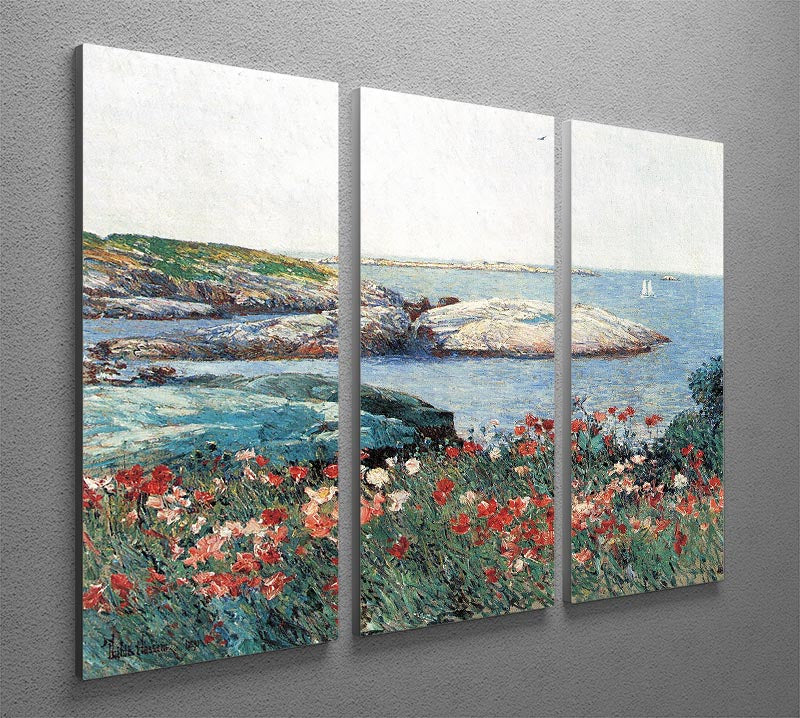 Poppies Isles of Shoals 1 by Hassam 3 Split Panel Canvas Print - Canvas Art Rocks - 2