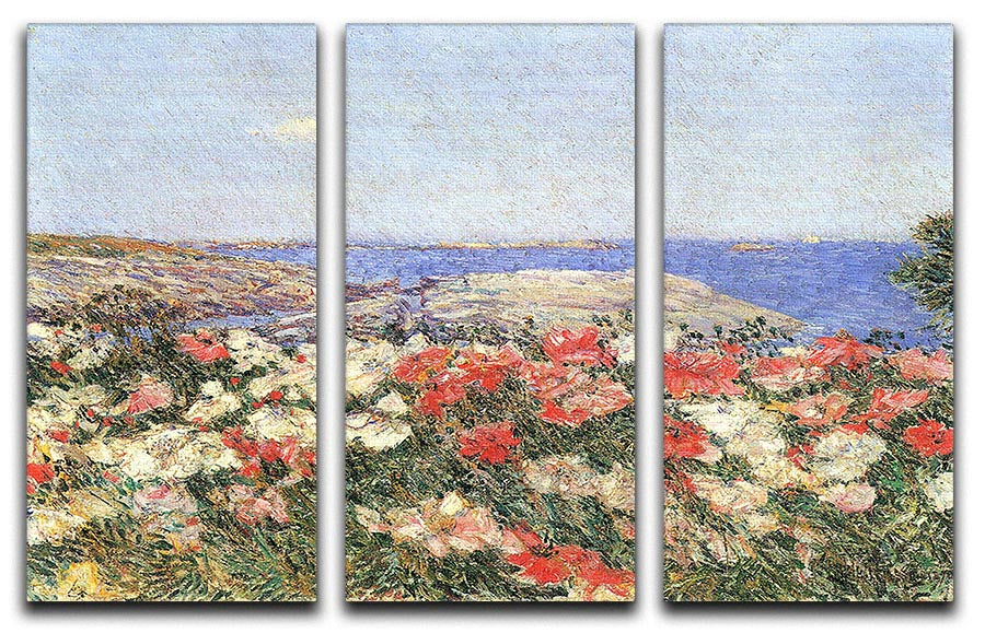 Poppies on the Isles of Shoals by Hassam 3 Split Panel Canvas Print - Canvas Art Rocks - 1