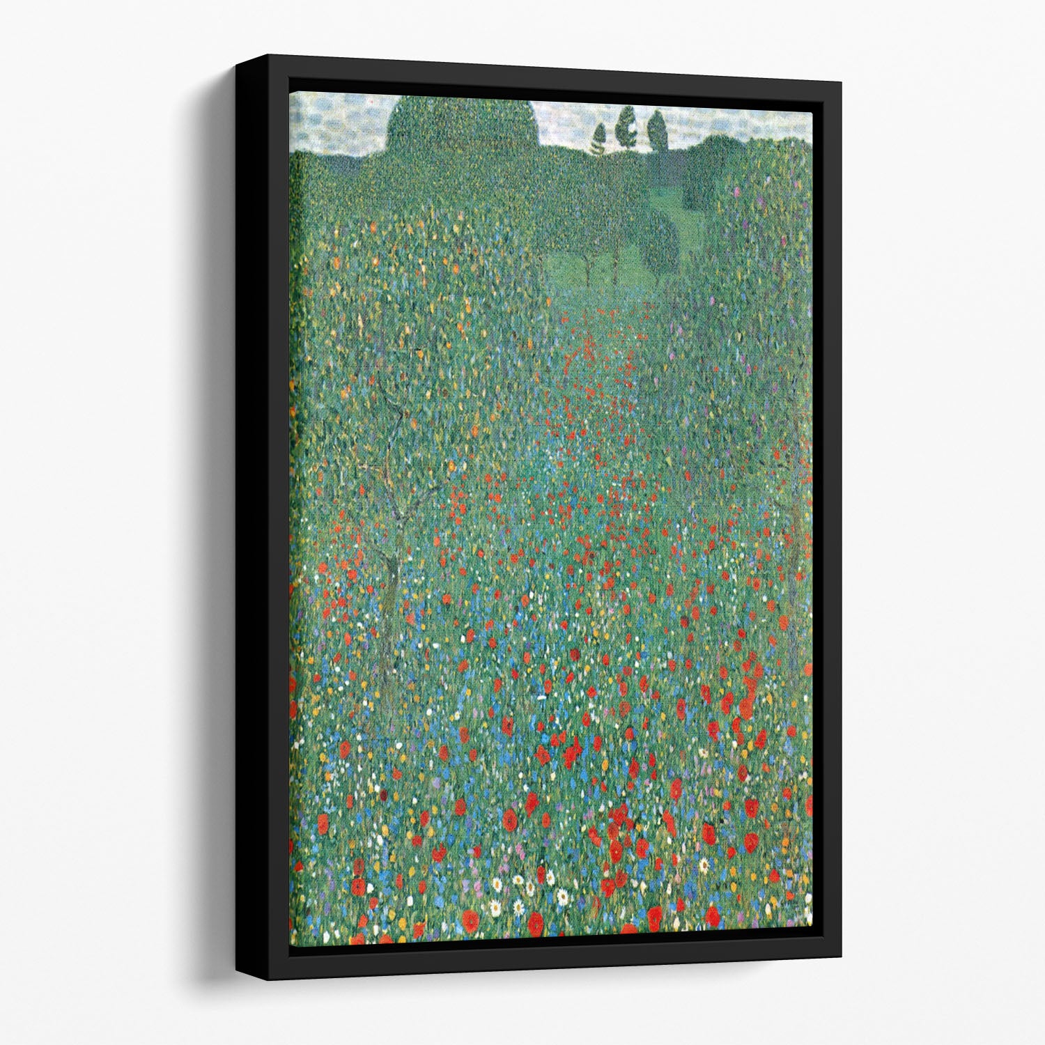 Poppy Field by Klimt Floating Framed Canvas