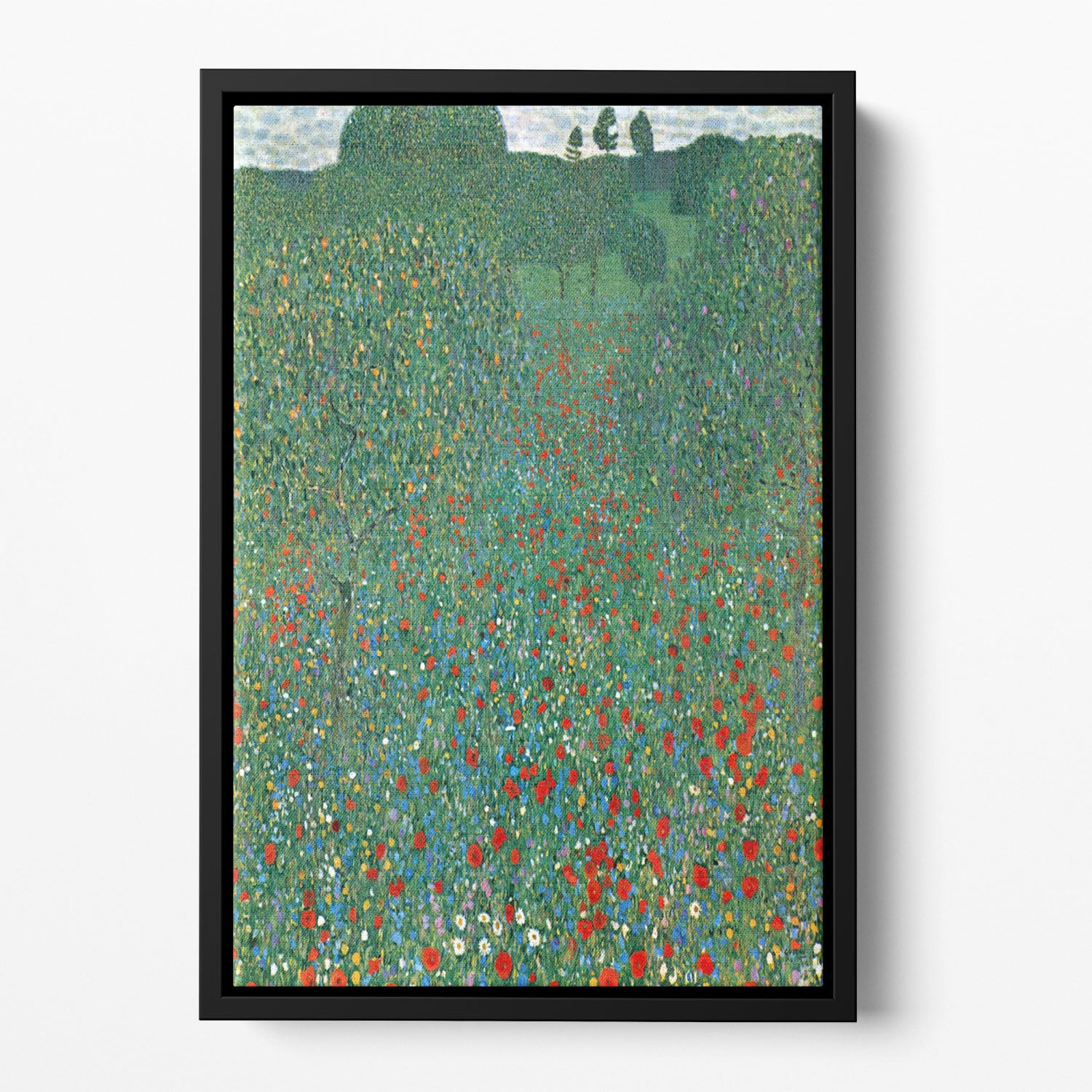 Poppy Field by Klimt Floating Framed Canvas
