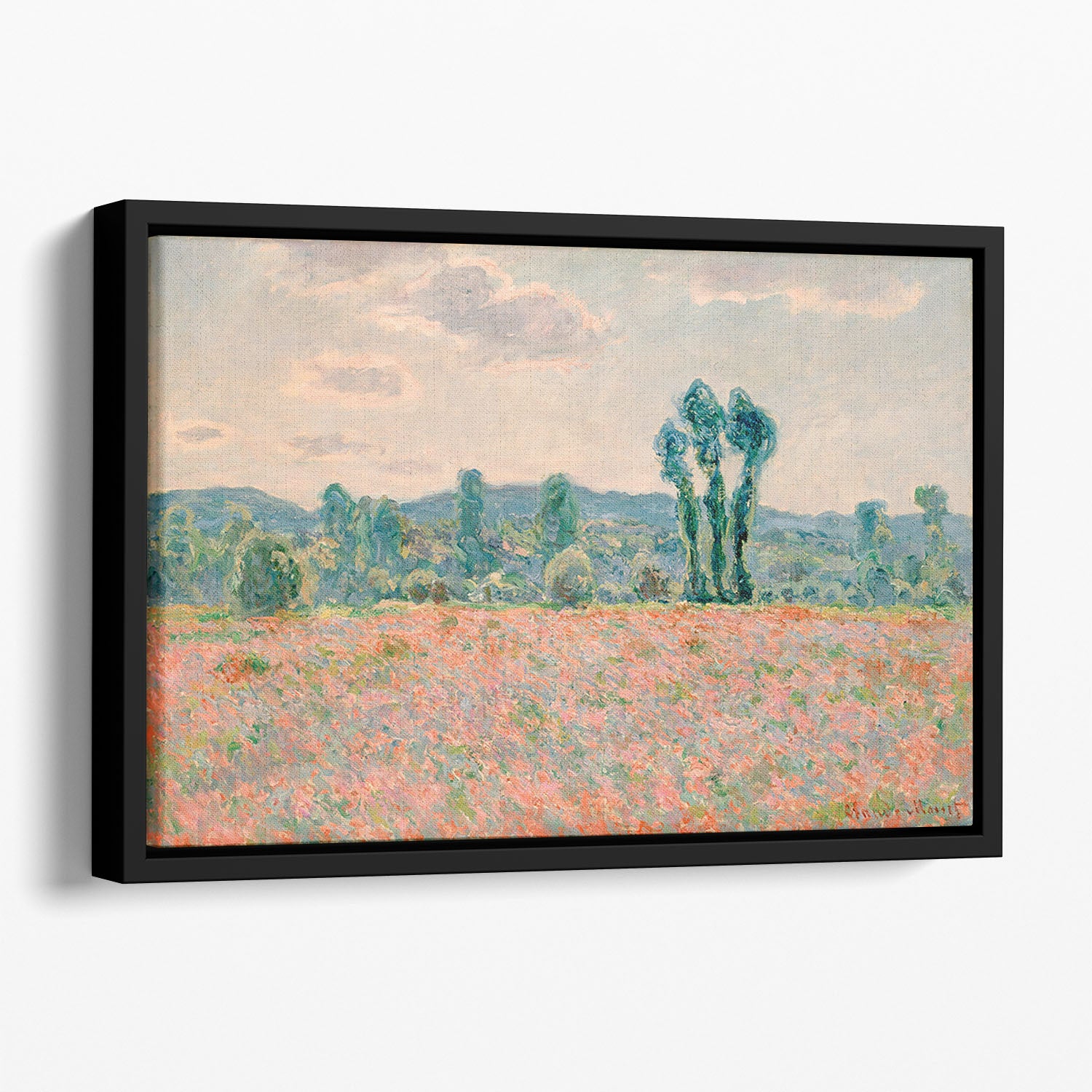 Poppy Field by Monet Floating Framed Canvas