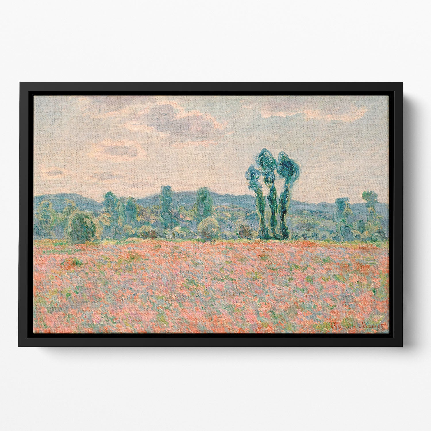 Poppy Field by Monet Floating Framed Canvas