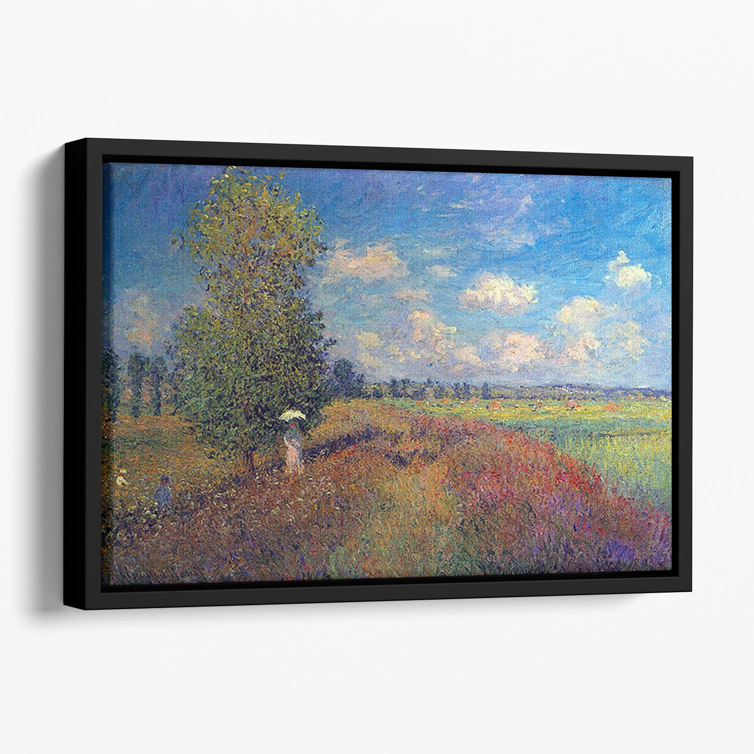 Poppy Field in Summer by Monet Floating Framed Canvas