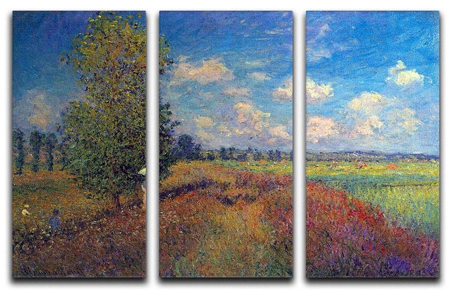 Poppy Field in Summer by Monet Split Panel Canvas Print - Canvas Art Rocks - 4