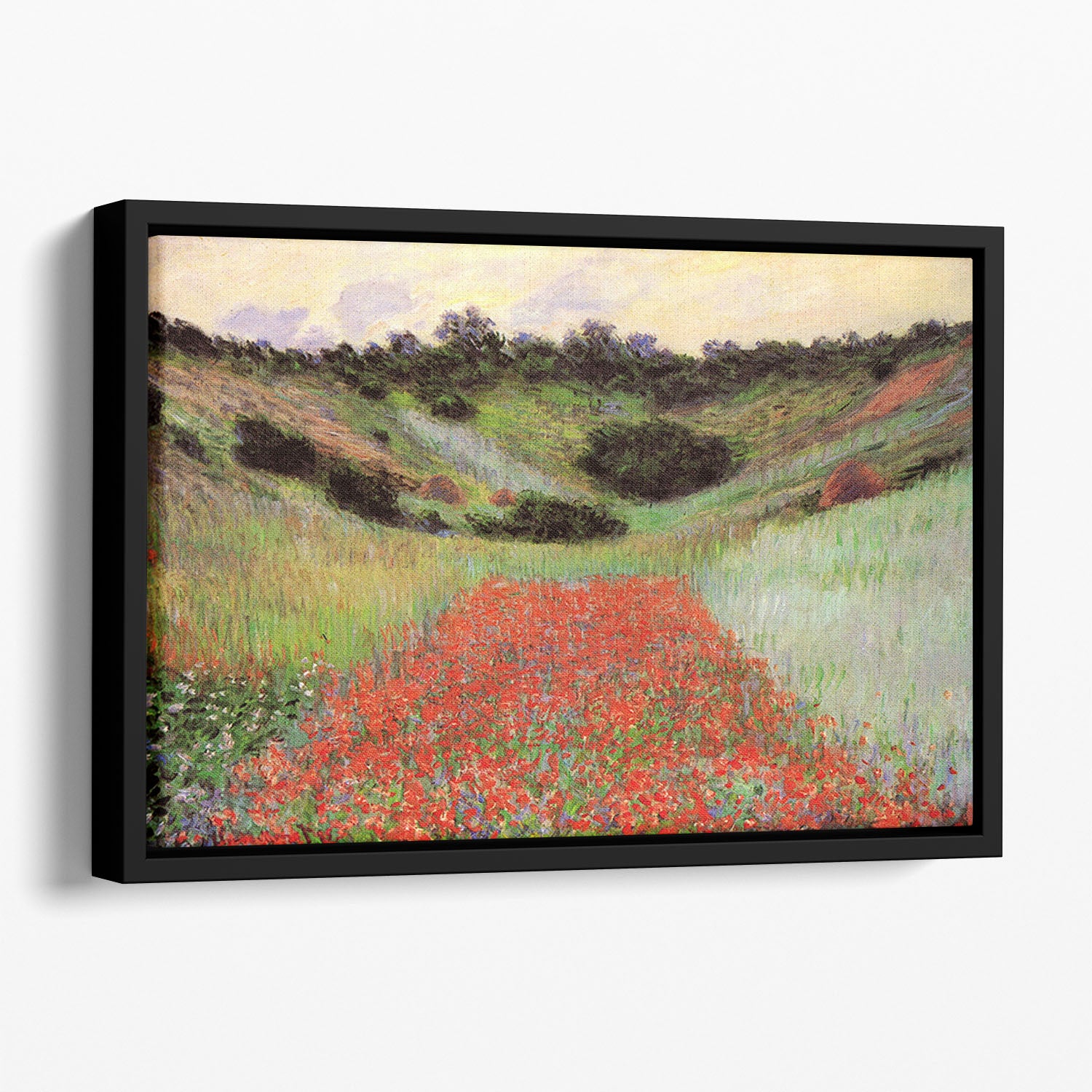 Poppy Field of Flowers in Giverny by Monet Floating Framed Canvas