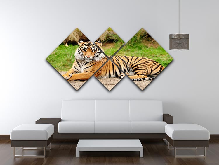 Portrait of a Royal Bengal tiger alert 4 Square Multi Panel Canvas - Canvas Art Rocks - 3