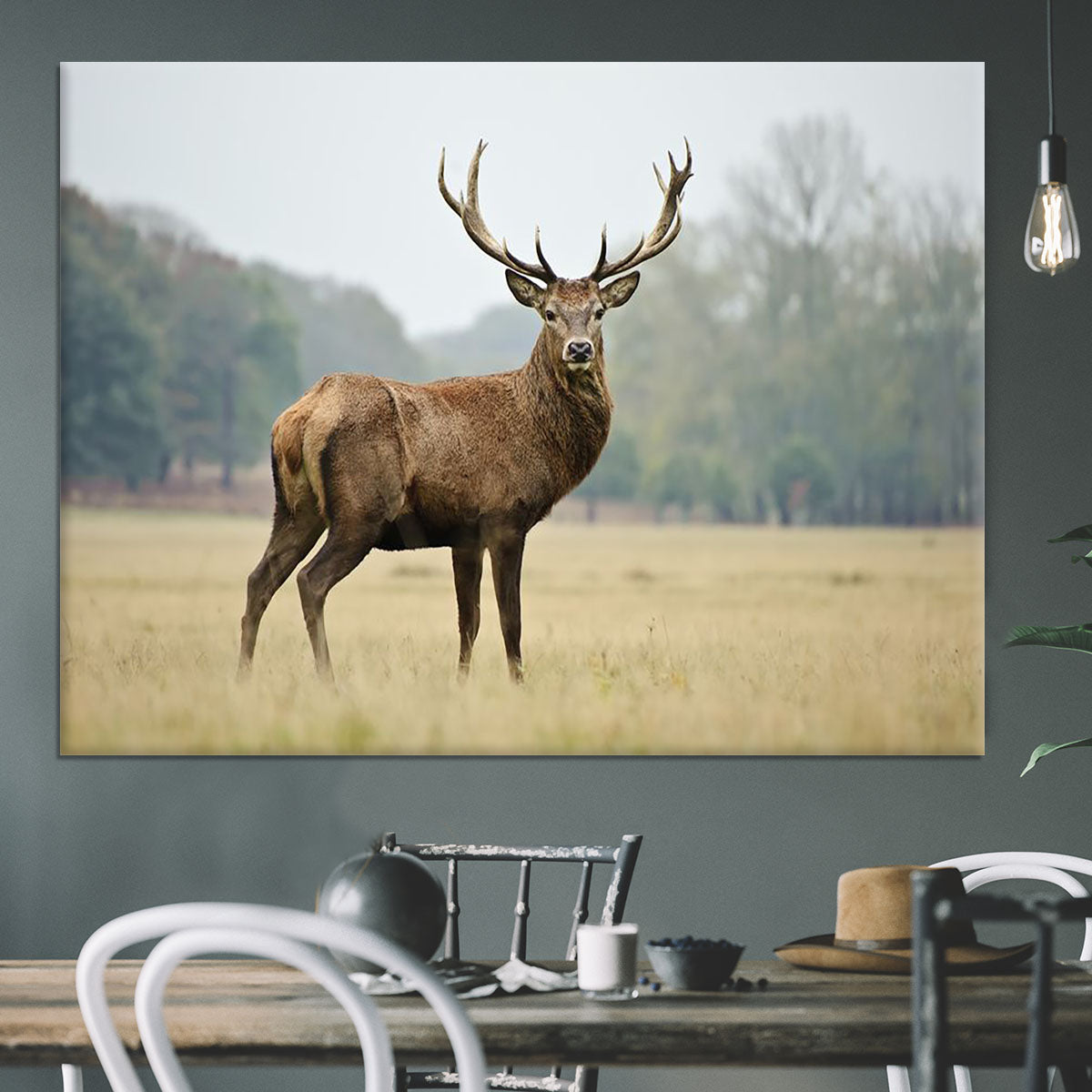 Portrait of adult red deer stag in field Canvas Print or Poster - Canvas Art Rocks - 3