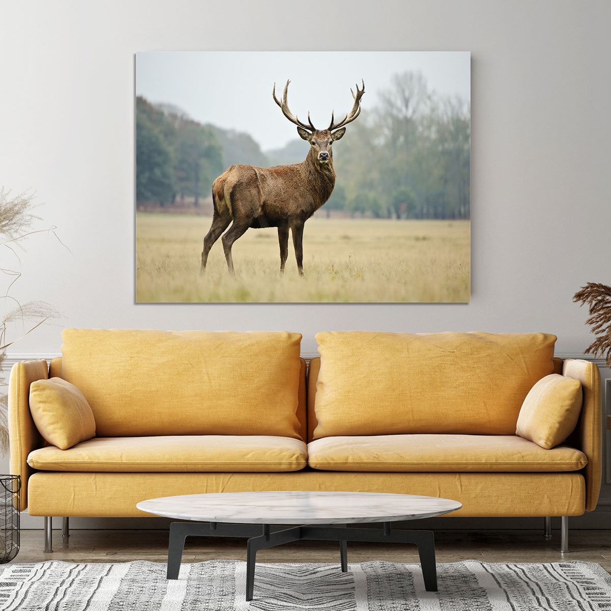 Portrait of adult red deer stag in field Canvas Print or Poster - Canvas Art Rocks - 4
