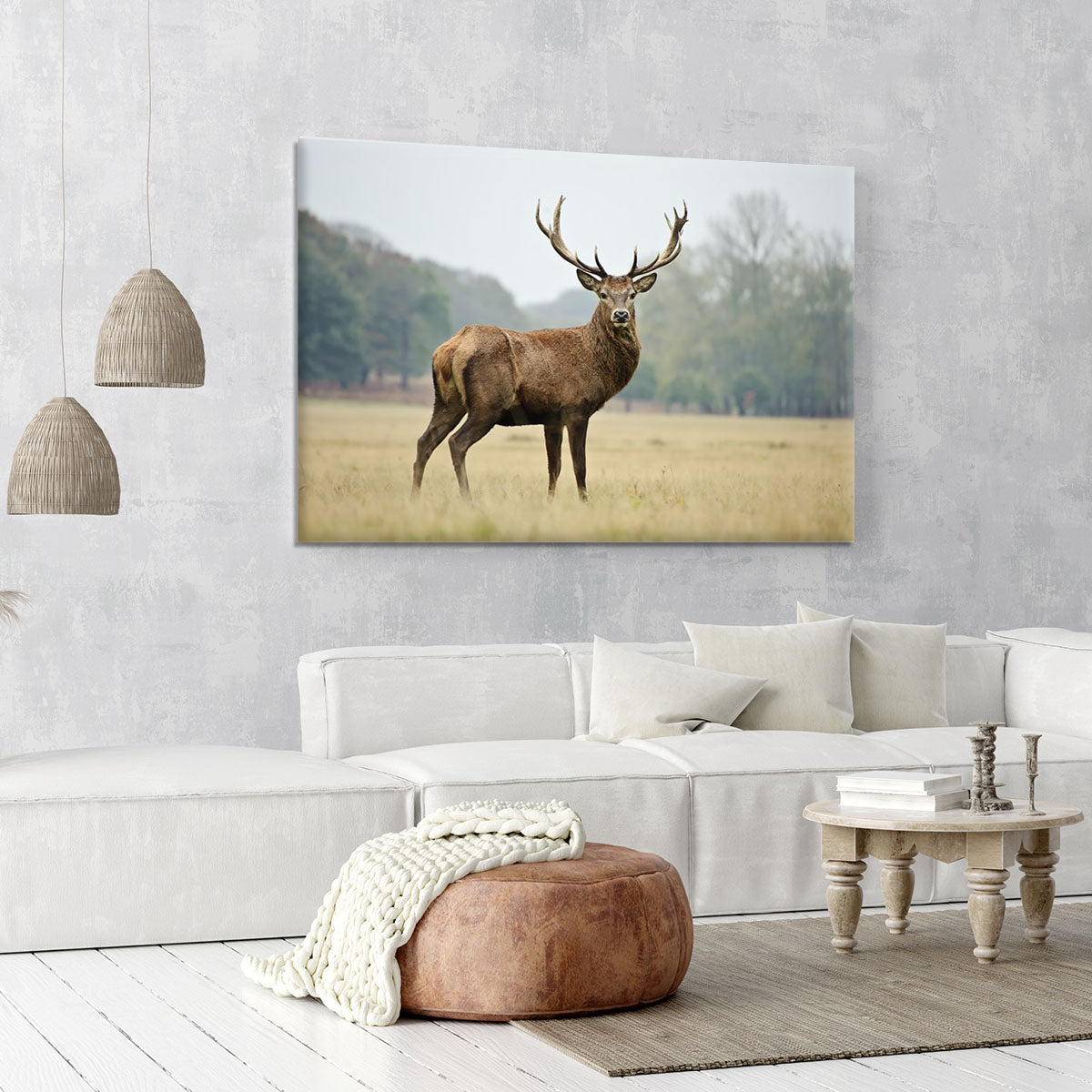 Portrait of adult red deer stag in field Canvas Print or Poster - Canvas Art Rocks - 6