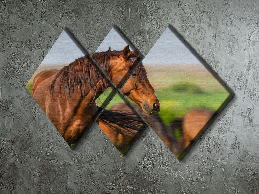 Portrait of red horse in herd on spring pasture 4 Square Multi Panel Canvas - Canvas Art Rocks - 2