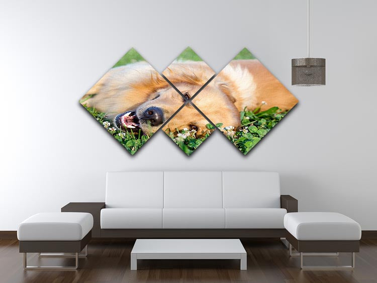 Portrait young dog playing in the meadow 4 Square Multi Panel Canvas - Canvas Art Rocks - 3