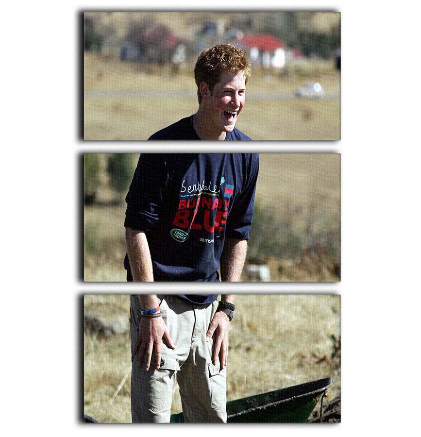 Prince Harry helping build a school in Lesotho South Africa 3 Split Panel Canvas Print - Canvas Art Rocks - 1