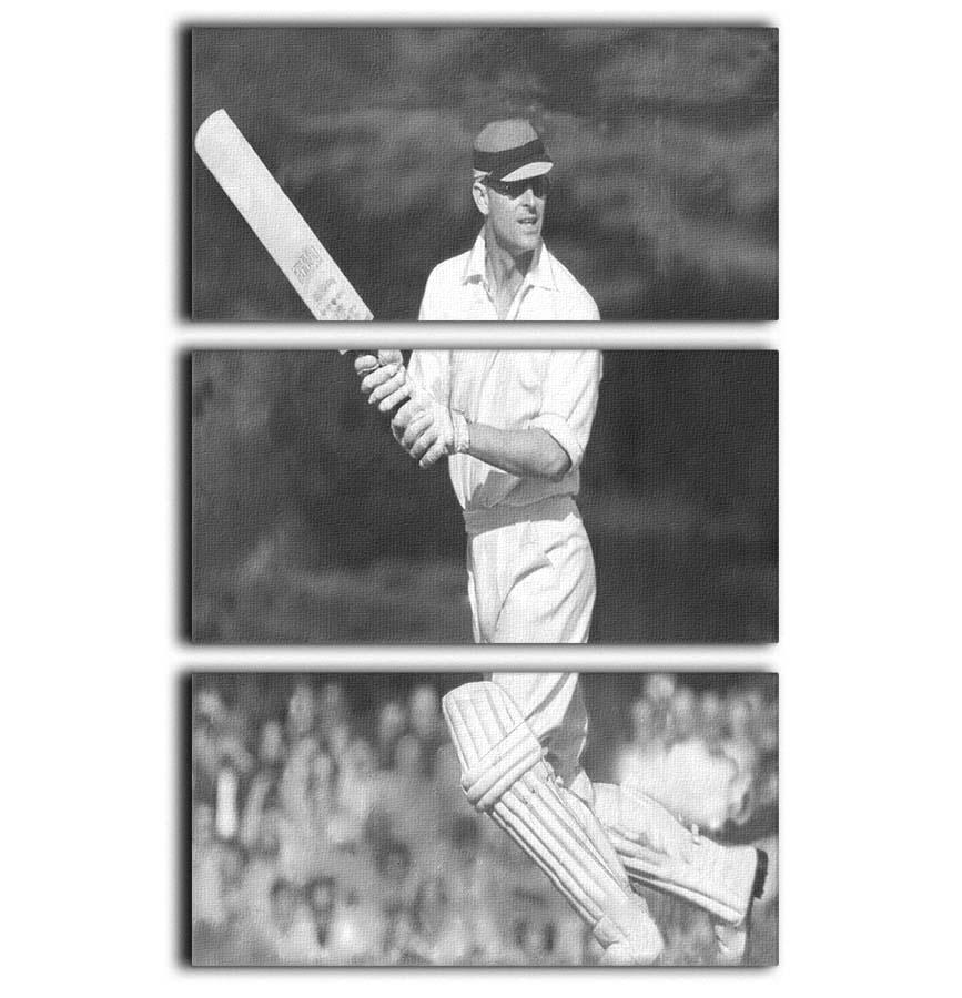 Prince Philip batting at a charity cricket match 3 Split Panel Canvas Print - Canvas Art Rocks - 1